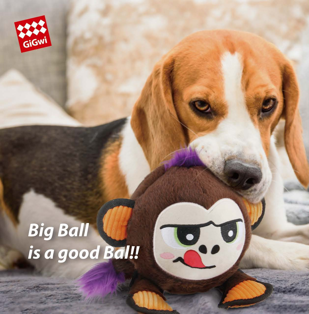 Jumball Plush mono marrón GiGwi 6864 en uso con un perro, catálogo oficial GiGwi