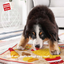 Gigwi Snuffle | Juguete de olfato Fast Food para perros en uso — fotografía original del catálogo GiGwi 2026