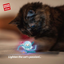 Gigwi | Juguete para gatos Medusa "Shining Friends" con luz LED activada y catnip en el interior en uso — fotografía original del catálogo GiGwi 2026