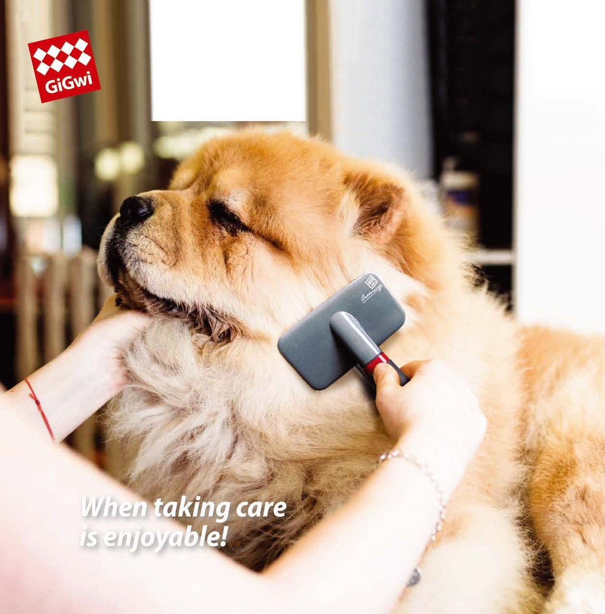 Gigwi | Rasqueta para perros y gatos en uso — fotografía original del catálogo GiGwi 2026