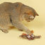 GiGwi | Juguete para gatos búho SILVERVINE ECO LINE — imagen oficial adicional