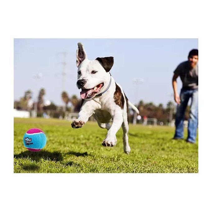 Gigwi Ball Originals | Pelotas de tenis para perros, pack de 3