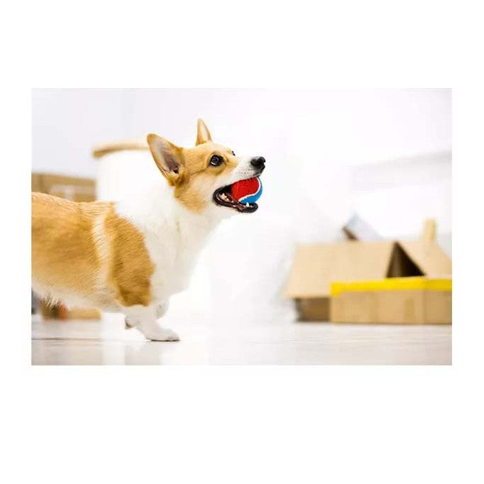 Gigwi Ball Originals | Pelotas de tenis para perros, pack de 3
