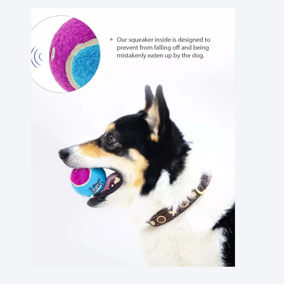 Gigwi Ball Originals | Pelotas de tenis para perros, pack de 3
