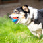 Gigwi Ball Originals | Pelotas de tenis para perros, pack de 3