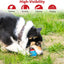Gigwi Ball Originals | Pelotas de tenis para perros, pack de 3