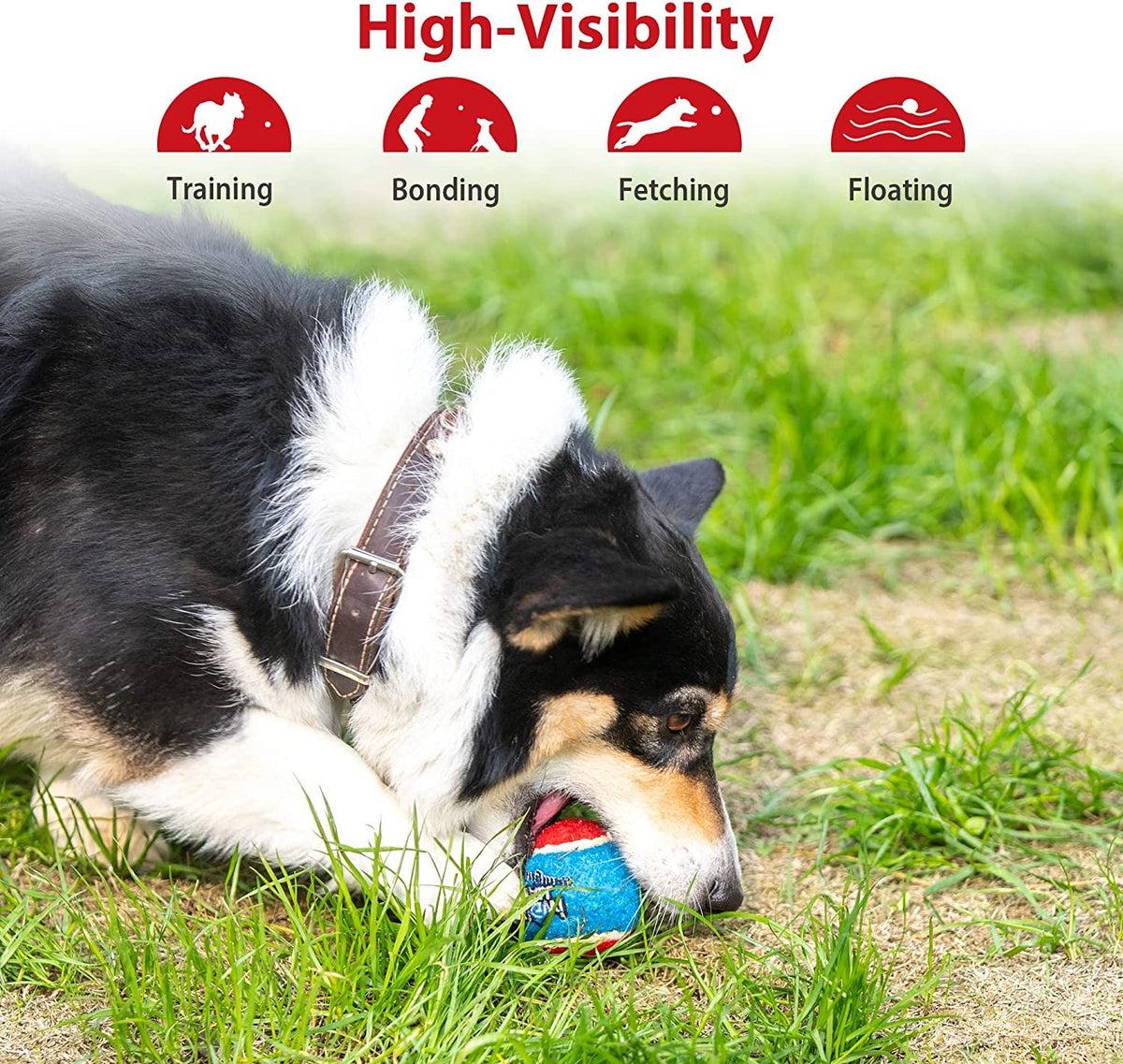 Gigwi Ball Originals | Pelotas de tenis para perros, pack de 3