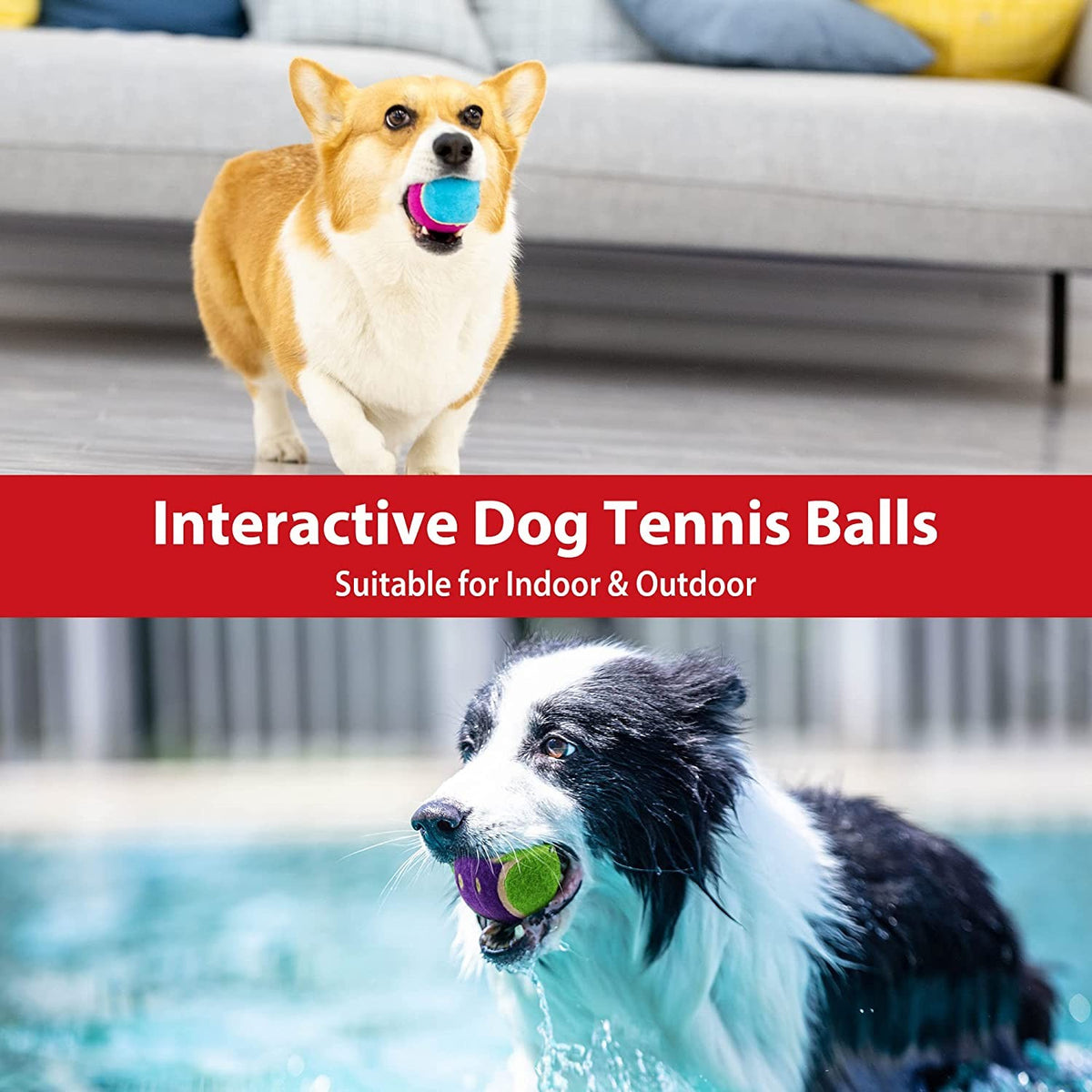Gigwi Ball Originals | Pelotas de tenis para perros, pack de 3