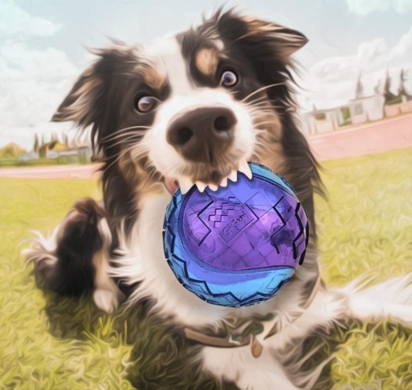 Gigwi Ball Trans | Pelota transparente con sonido para perros