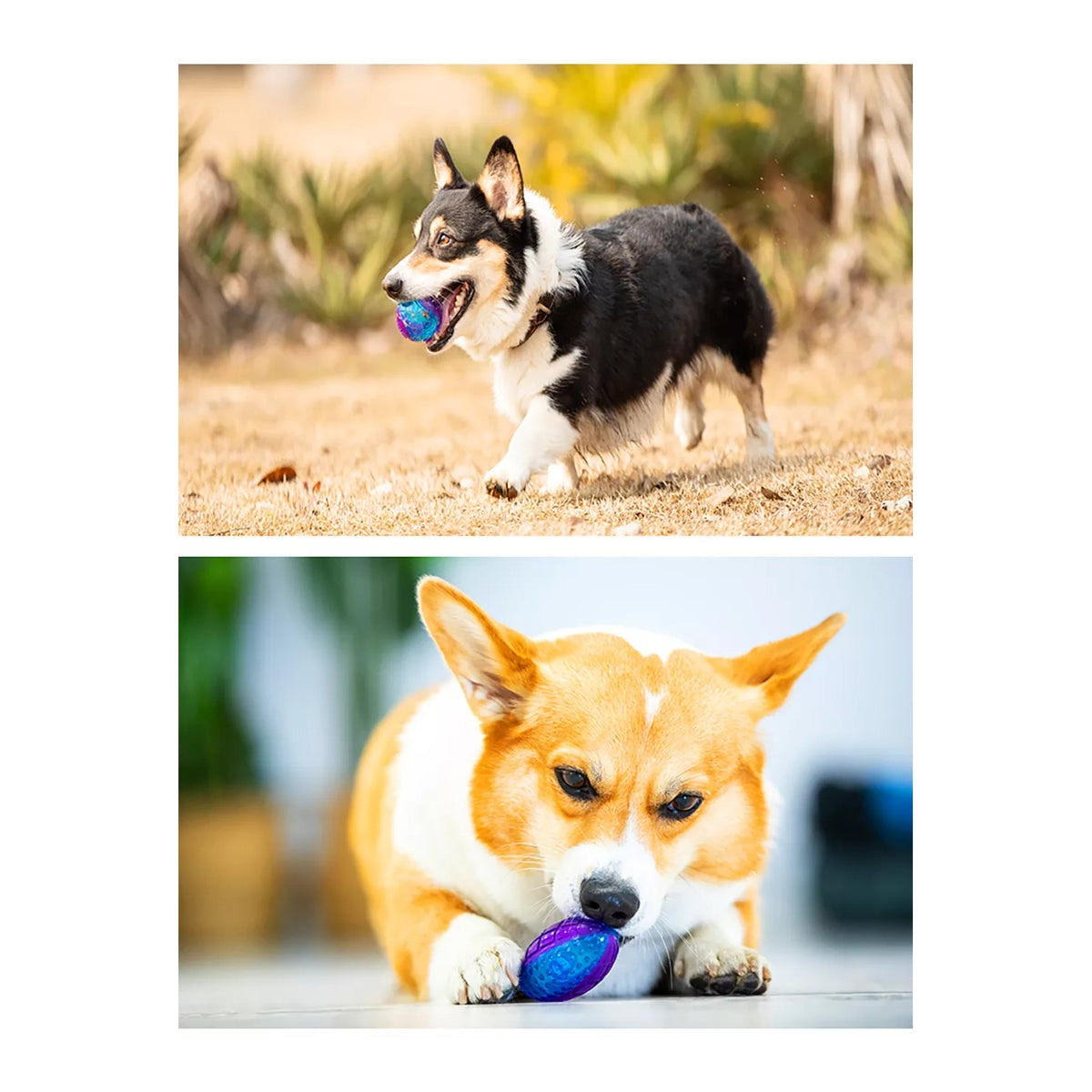 Gigwi Ball Trans | Pelota transparente con sonido para perros