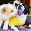 Gigwi Ball Trans | Pelota transparente con sonido para perros