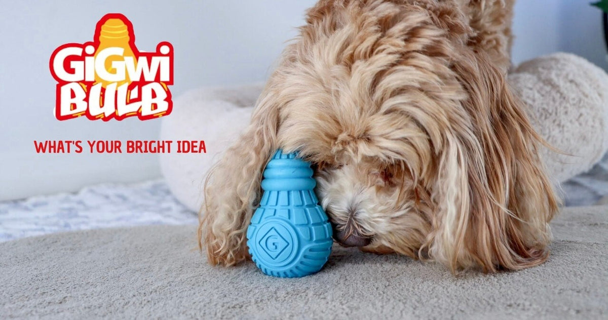 Gigwi Bulb | Dispensador de premios para perros