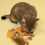 Gigwi Catch & Scratch Eco Line | Juguete león con hojas y varilla de silvervine para gatos