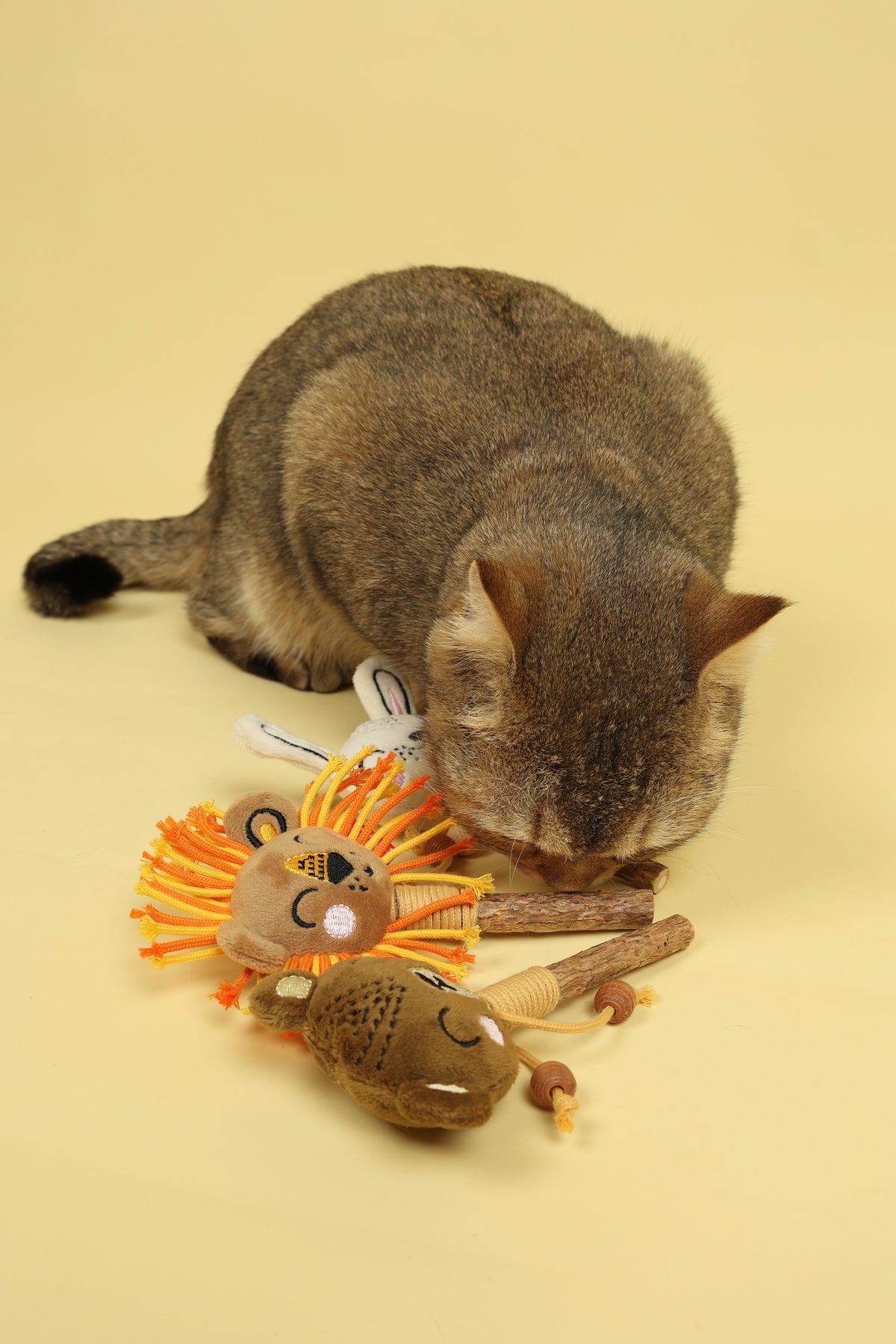 Gigwi Catch & Scratch Eco Line | Juguete león con hojas y varilla de silvervine para gatos