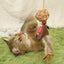 Gigwi | Juguete para gatos ECO LINE varilla con plumas SIL VARILLA PLUMA
