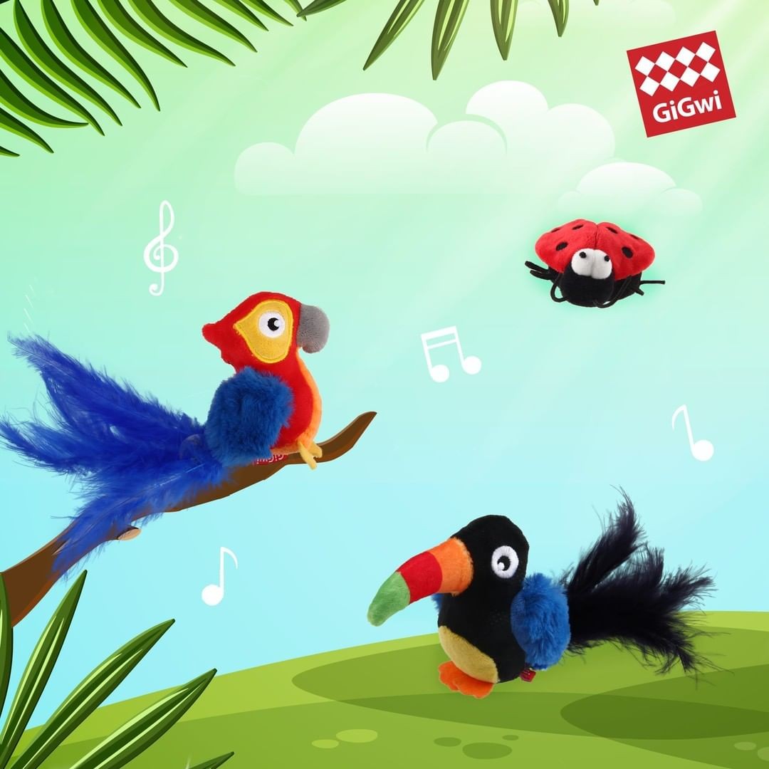 Gigwi | Juguete para gatos Loro 'Melody Chaser' con sonido que se activa con el movimiento