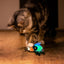 Gigwi | Juguete para gatos Luciérnaga "Shining Friends" con luz LED activada y catnip en el interior