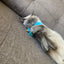 Gigwi | Juguete para gatos Medusa "Shining Friends" con luz LED activada y catnip en el interior