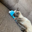 Gigwi | Juguete para gatos Medusa "Shining Friends" con luz LED activada y catnip en el interior
