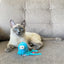 Gigwi | Juguete para gatos Medusa "Shining Friends" con luz LED activada y catnip en el interior