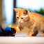 Gigwi | Juguete para gatos Tucán 'Melody Chaser' con sonido que se activa con el movimiento