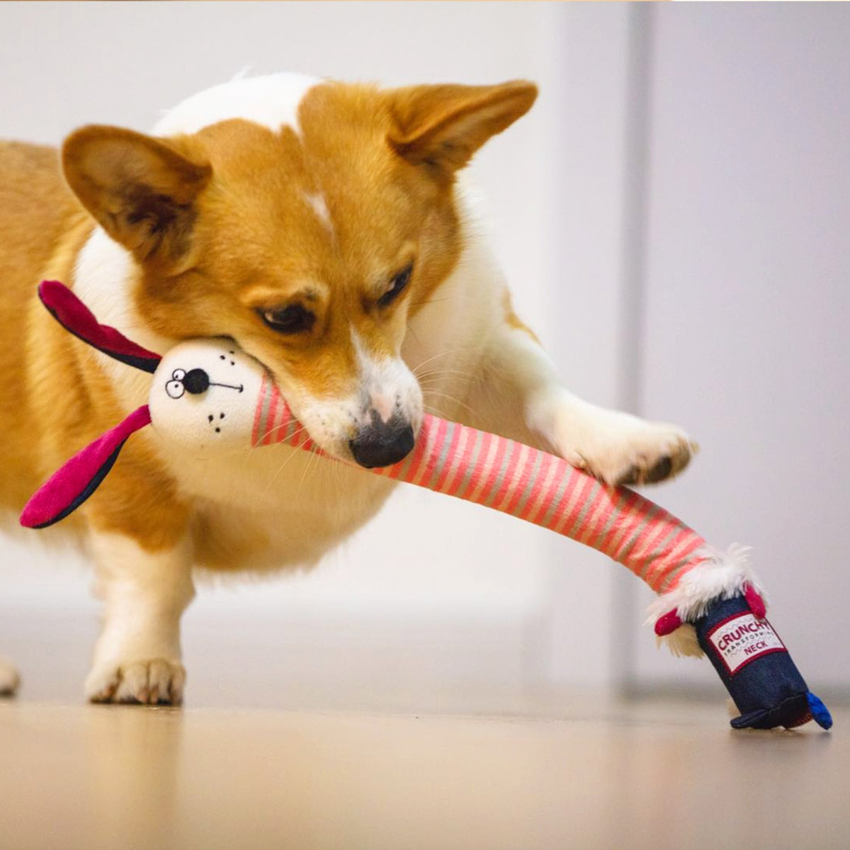 Gigwi | Juguete para perros Crunchy Neck 'felpa Friendz' conejo S con sonido