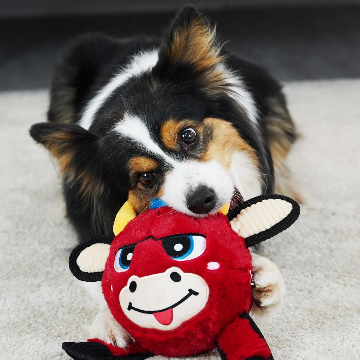 Gigwi | Juguete para perros JUMBALL felpa rojo toro M