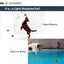 Gigwi | Skipdawg – paquete de 4 pelotas de tenis para perros