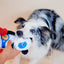 Gigwi | Juguete para perros Rock Zoo King Boxer Panda con sonido