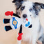 Gigwi | Juguete para perros Rock Zoo King Boxer Panda con sonido