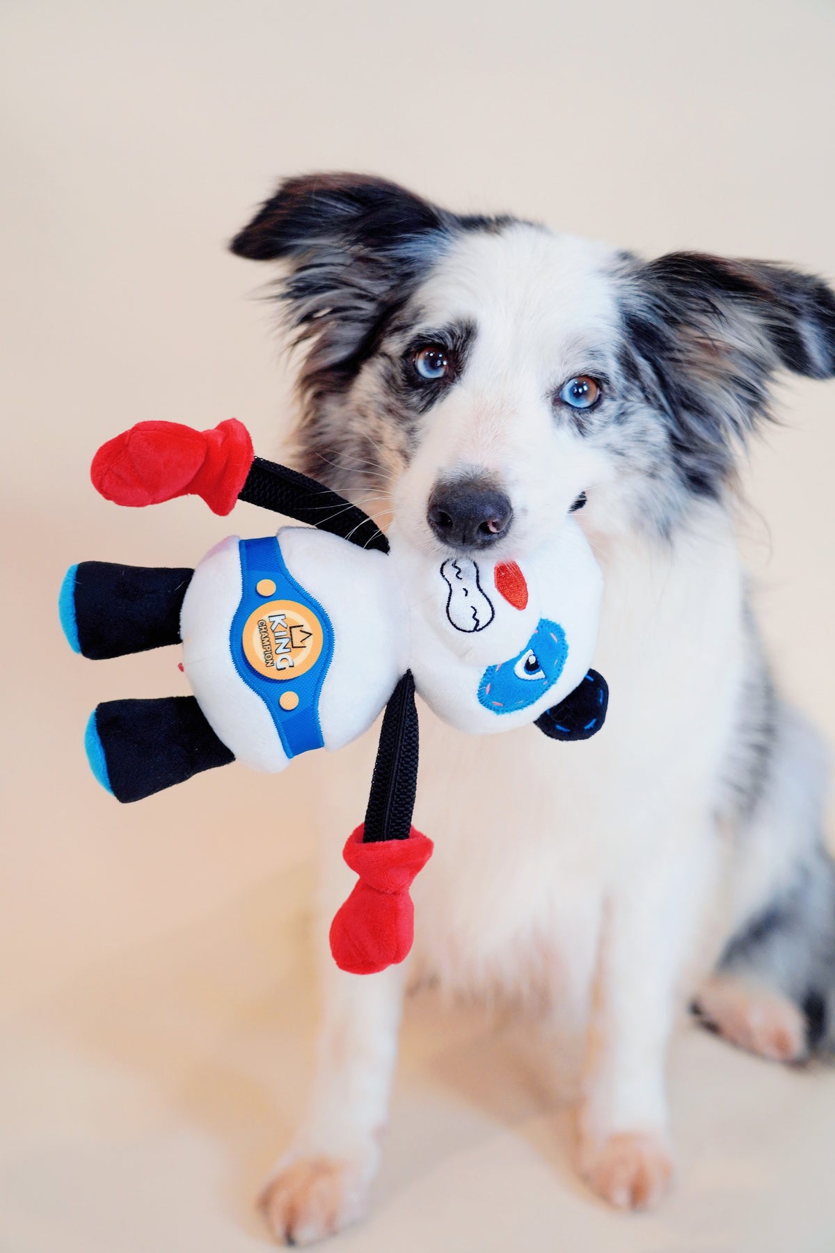 Gigwi | Juguete para perros Rock Zoo King Boxer Panda con sonido