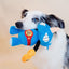 GiGwi Rock Zoo King Boxer rinoceronte · en uso con un perro