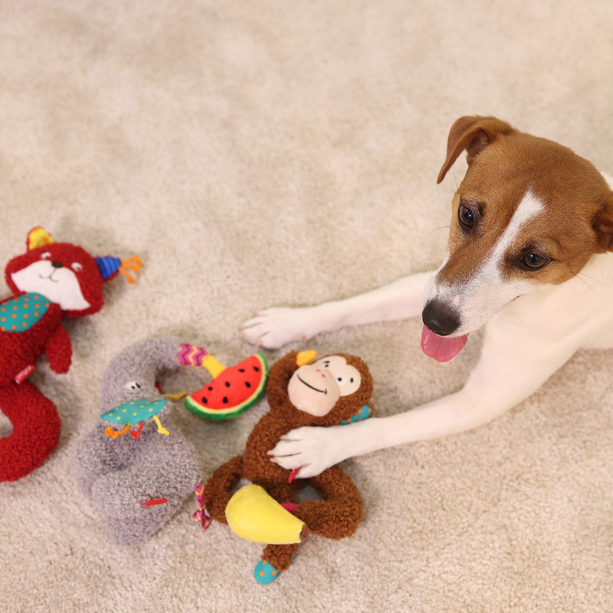 Gigwi Plush Friendz | Juguete ardilla de felpa con papel crujiente para perros