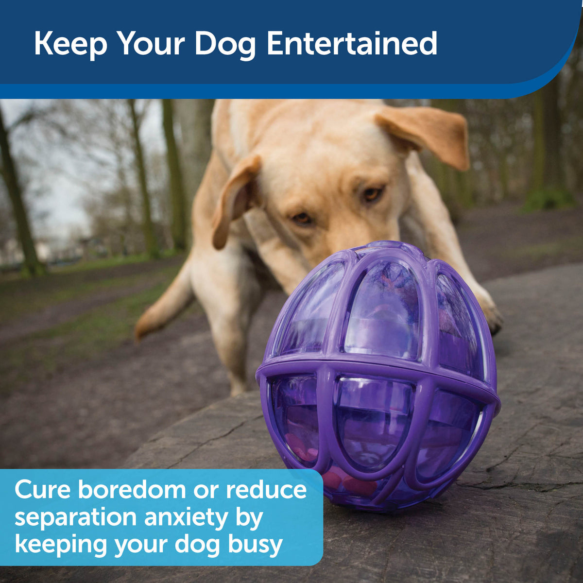 Busy Buddy® Kibble Nibble™