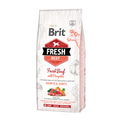 Brit Fresh Beef with Pumpkin Puppy Large — envase oficial referencial