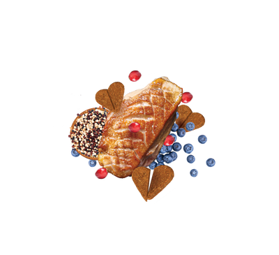 Darford | ZERO/G Mini galletas de pato para perros 170 g