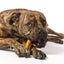Hartz Oinkies Pig Skin Twists con centro crujiente sabor mantequilla de maní x 8 · perro con el premio