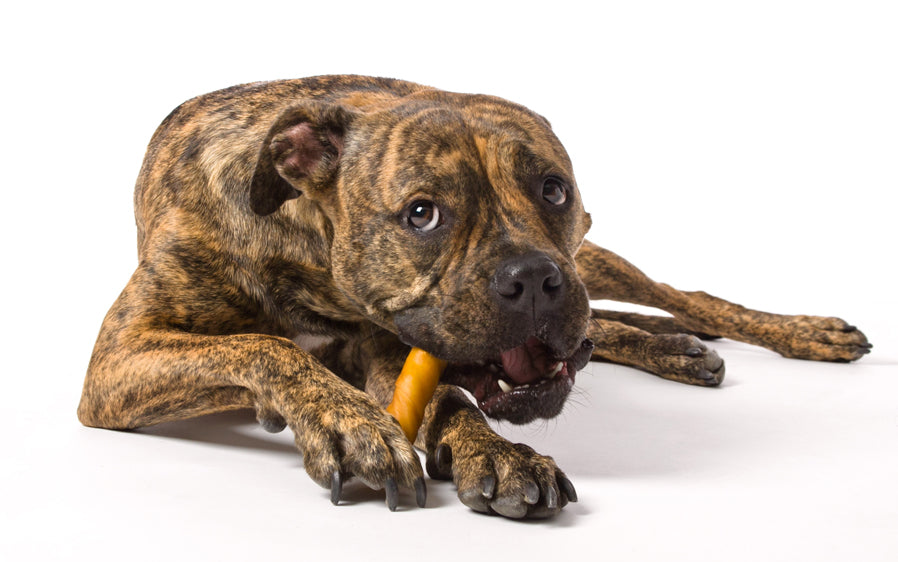 Hartz Oinkies Pig Skin Twists con centro crujiente sabor mantequilla de maní x 8 · perro con el premio