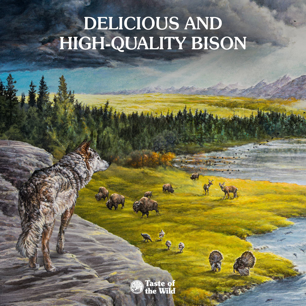 Taste of the Wild | High Prairie bisonte en salsa para perros (lata)