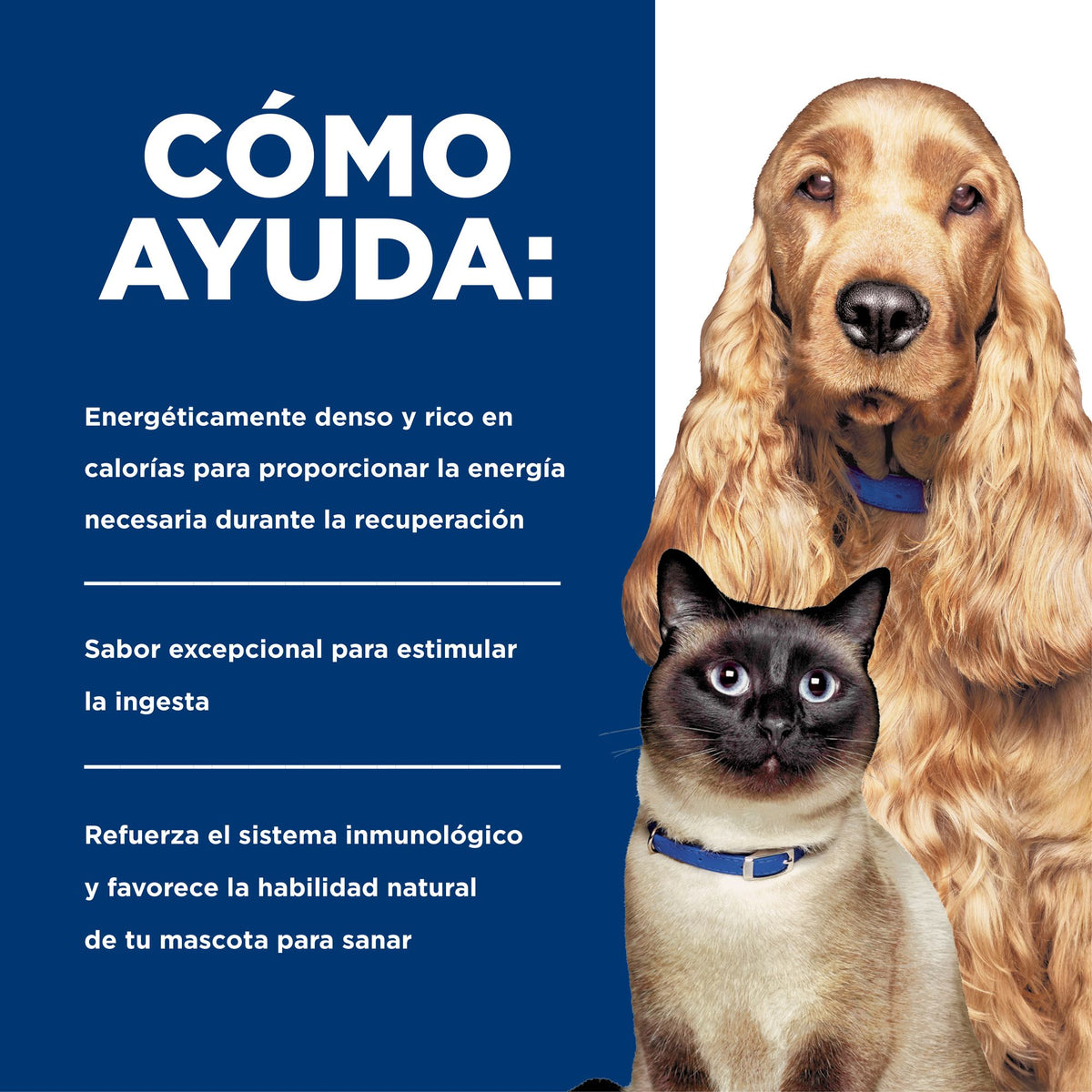 Hill's Prescription Diet a/d Urgent Care alimento húmedo para perros y gatos · cómo ayuda