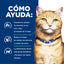 Hill's Prescription Diet c/d Multicare alimento húmedo para gatos con pescado de mar · cómo ayuda