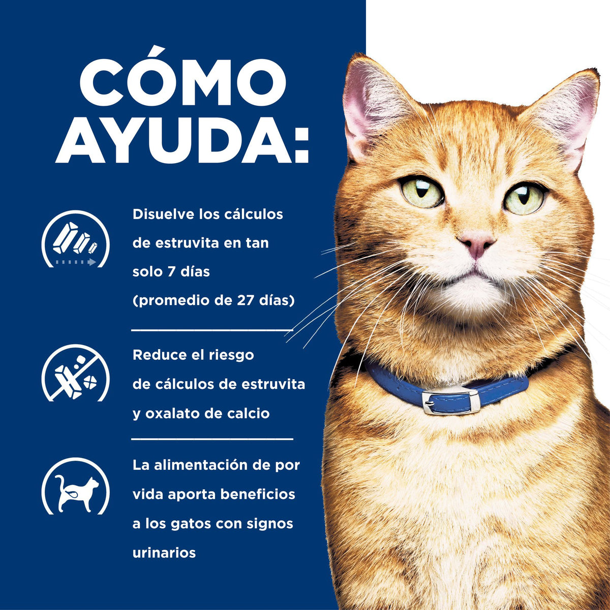 Hill's Prescription Diet c/d Multicare alimento húmedo para gatos con pescado de mar · cómo ayuda