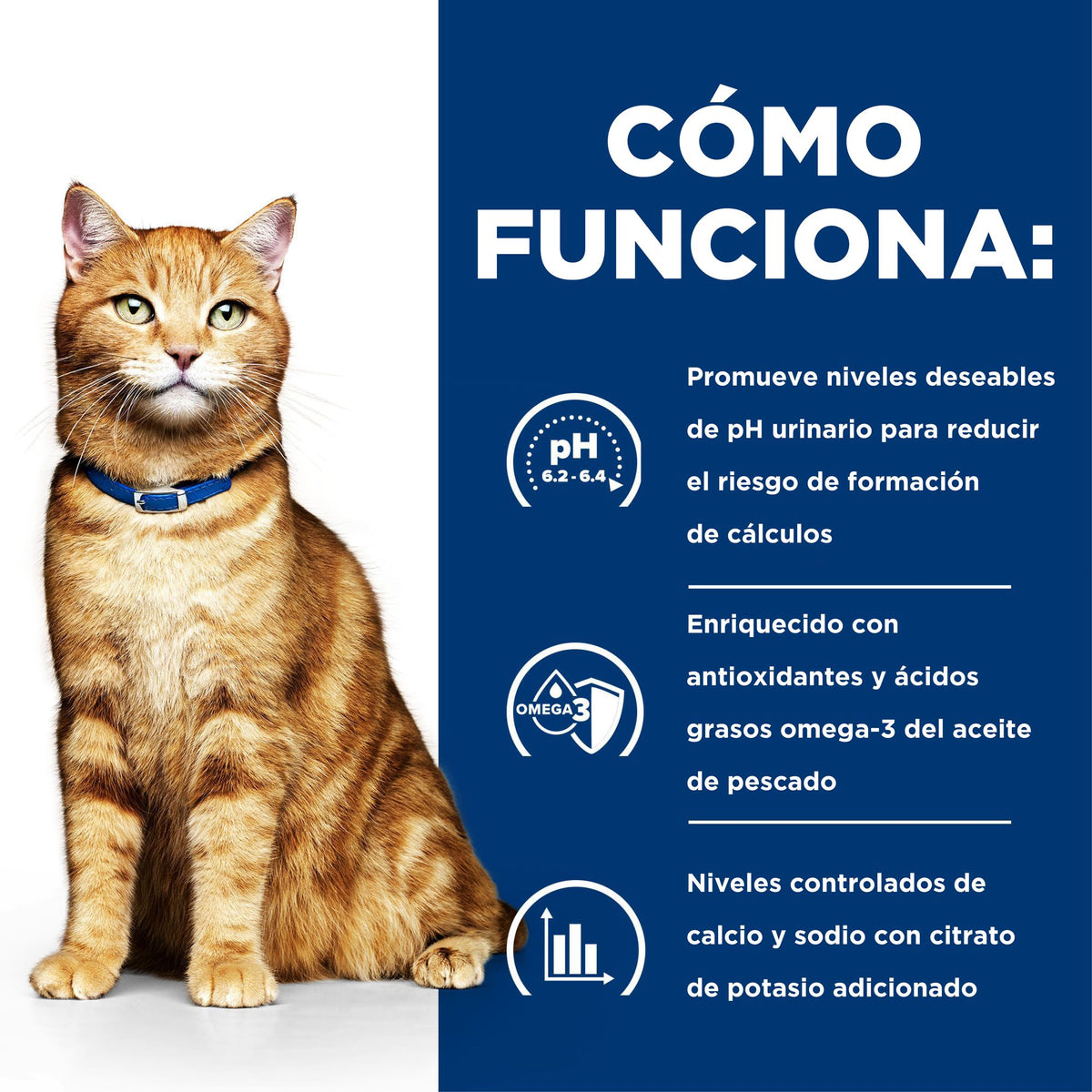 Hill's Prescription Diet c/d Multicare alimento húmedo para gatos con pescado de mar · cómo funciona