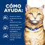 Hill's Prescription Diet c/d Multicare alimento seco para gatos con pollo · cómo ayuda