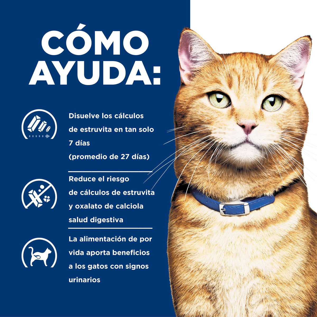 Hill's Prescription Diet c/d Multicare alimento seco para gatos con pollo · cómo ayuda