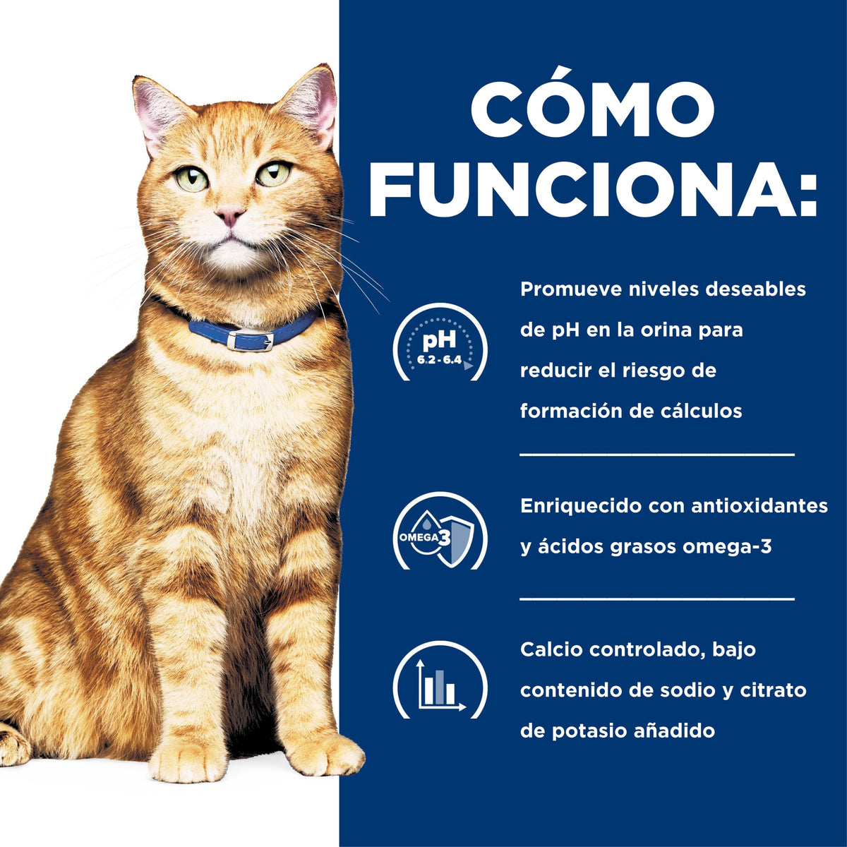 Hill's Prescription Diet c/d Multicare alimento seco para gatos con pollo · cómo funciona