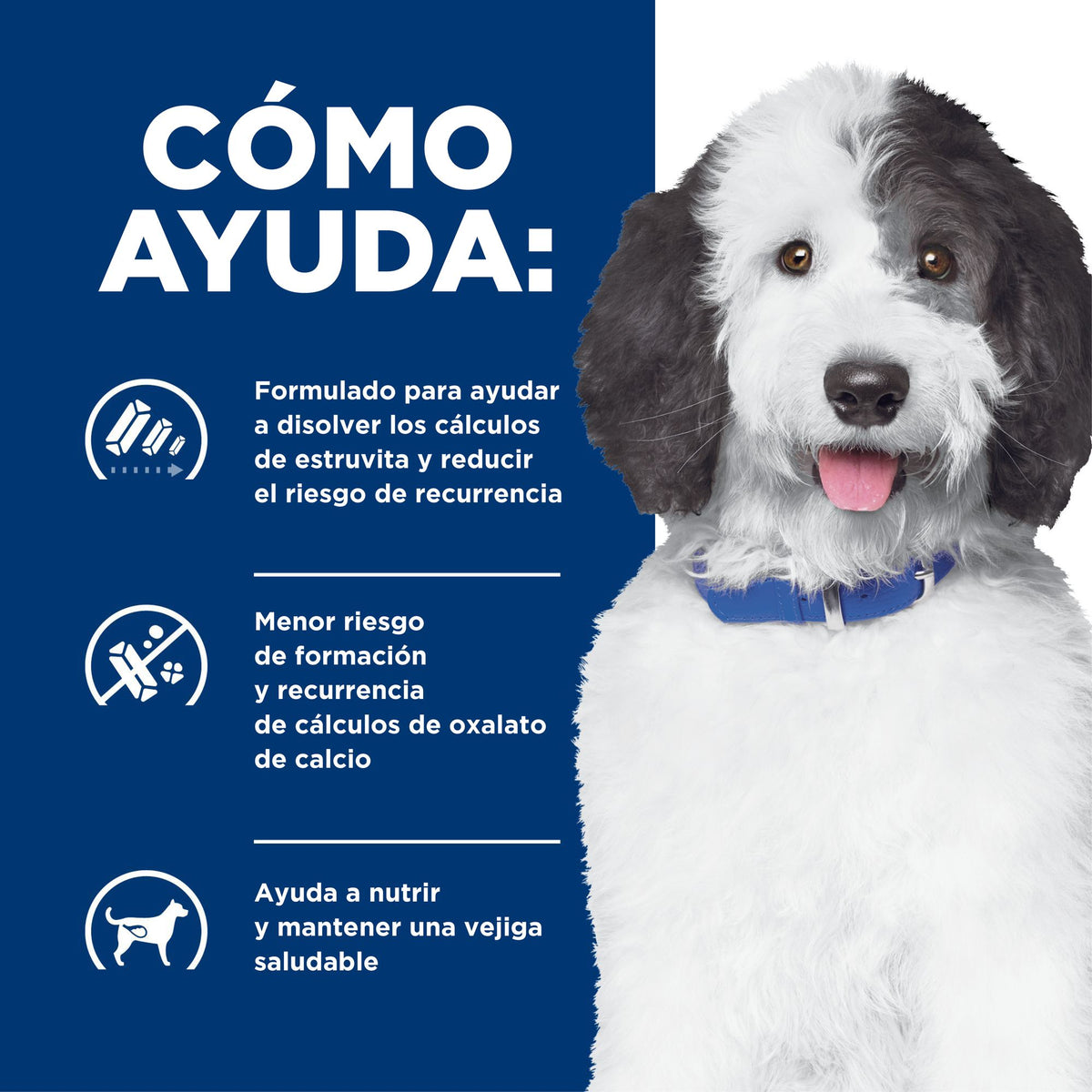 Hill's Prescription Diet c/d Multicare alimento húmedo para perros · cómo ayuda