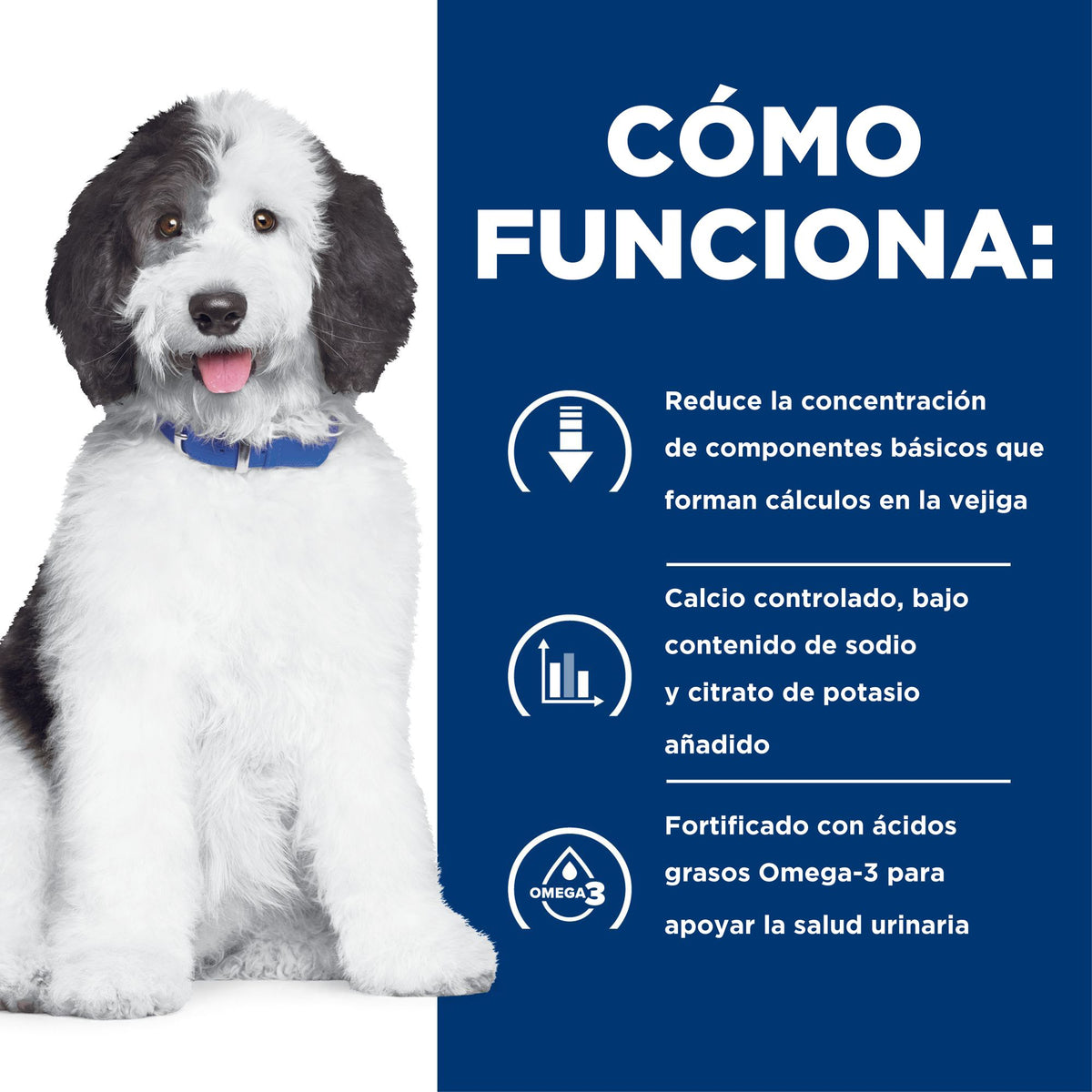 Hill's Prescription Diet c/d Multicare alimento húmedo para perros · cómo funciona