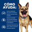 Hill's Prescription Diet Gastrointestinal Biome estofado para perros · cómo ayuda