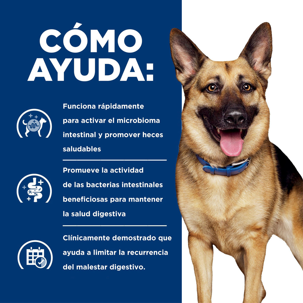 Hill's Prescription Diet Gastrointestinal Biome estofado para perros · cómo ayuda